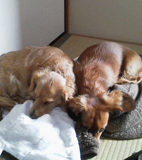 2012032515390001.jpg