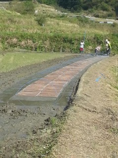 20130428_151923.jpg