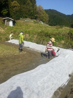 20130428_153939.jpg
