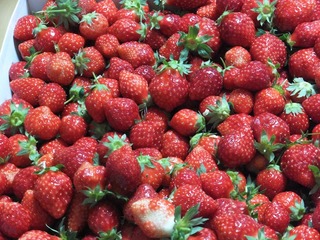 DSCF0013-2.jpg