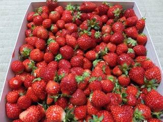 DSCF0019-2.jpg