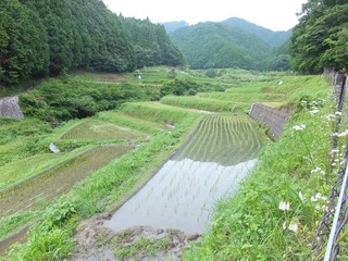 DSCF0242.jpg