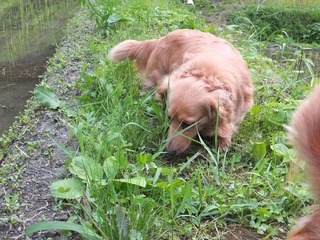 DSCF0245.jpg