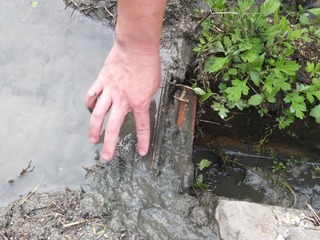 DSCF0252.jpg