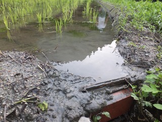 DSCF0254.jpg