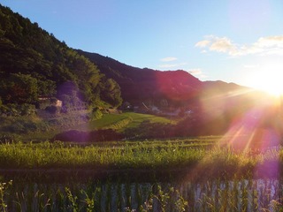 DSCF0288.JPG