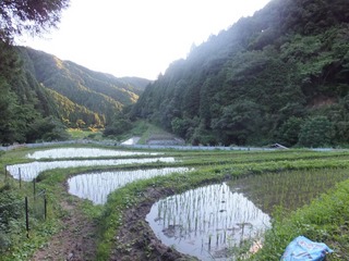 DSCF0290.JPG