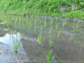 DSCF0292.JPG