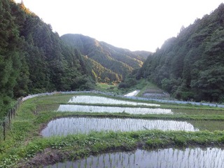DSCF0294.JPG