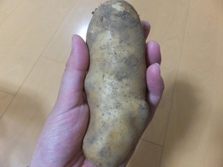 DSCF0310.JPG