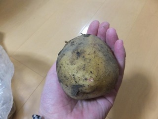 DSCF0312.JPG