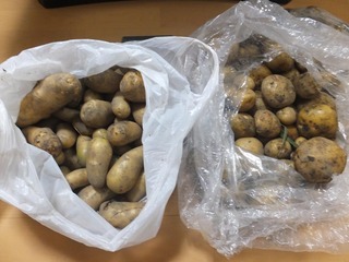 DSCF0313.JPG