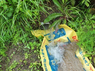 DSCF0325.JPG