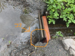 DSCF0329.JPG