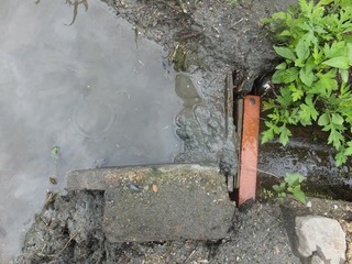 DSCF0331.JPG