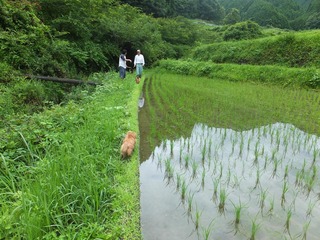 DSCF0339.JPG