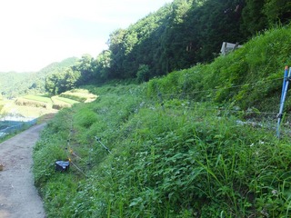 DSCF0448.jpg