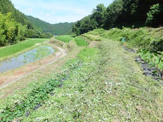DSCF0451.jpg