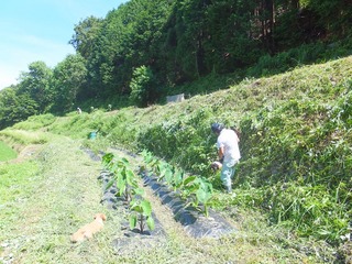 DSCF0453.jpg