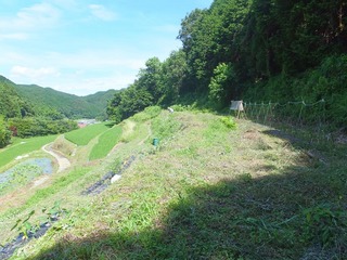 DSCF0455.jpg