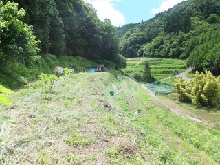 DSCF0459.jpg