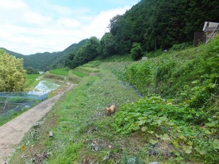 DSCF0464.jpg