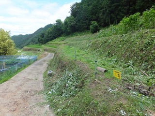 DSCF0465.jpg