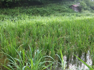 DSCF0495.jpg