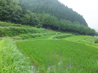 DSCF0497.jpg