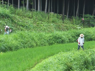 DSCF0498.jpg
