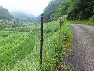 DSCF0502.jpg