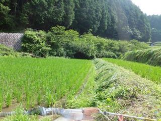 DSCF0507.jpg