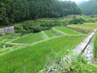 DSCF0510.jpg