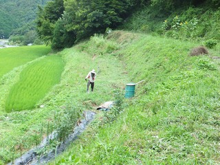 DSCF0570.jpg