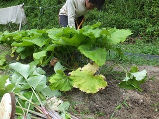 DSCF0574.jpg