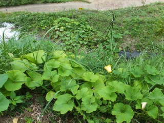 DSCF0577.jpg