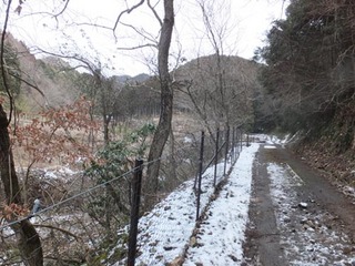 DSCF0868.jpg