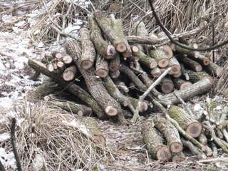 DSCF0871.jpg