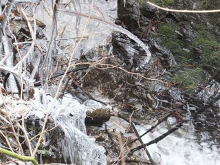 DSCF0872.jpg