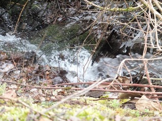 DSCF0873.jpg