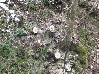 DSCF0877.jpg