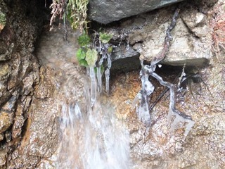 DSCF0886.jpg