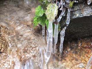 DSCF0887.jpg