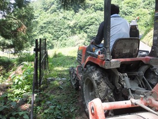 DSCF1075.JPG