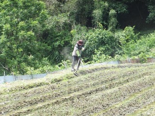 DSCF1091.JPG