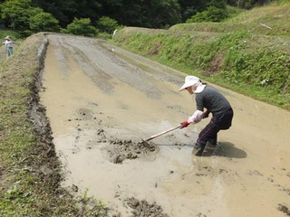 DSCF1094.JPG