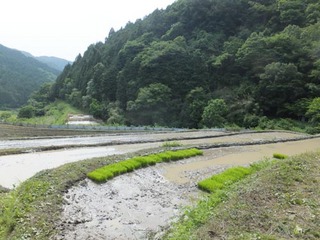 DSCF1096.JPG