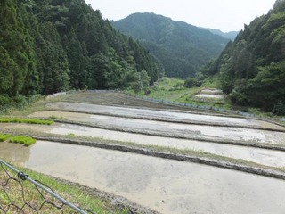 DSCF1097.JPG