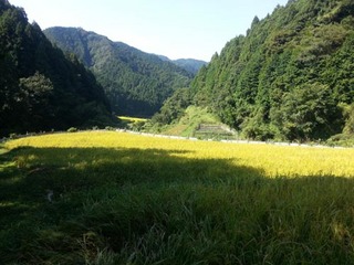 画像 006.jpg