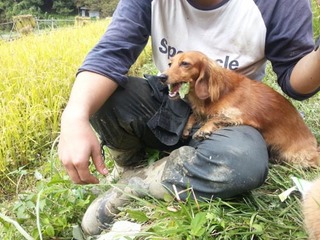 画像 037.jpg
